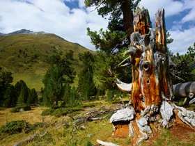 Zwitsers Nationaal Park Zwitsers Nationaal Park