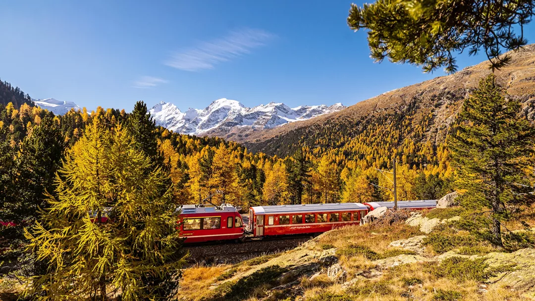 Bernina Express onderweg in herfstlandschap met besneeuwde berg panorama Bernina Express onderweg in herfstlandschap met besneeuwde berg panorama