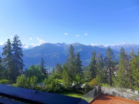 Cransalpin Cransalpin