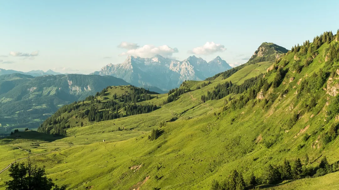 Kitzbuheler Alpen Landschap