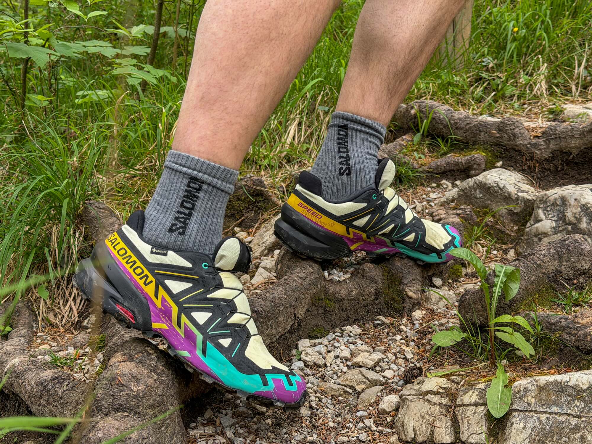 Wandelschoenen Salomon (1)