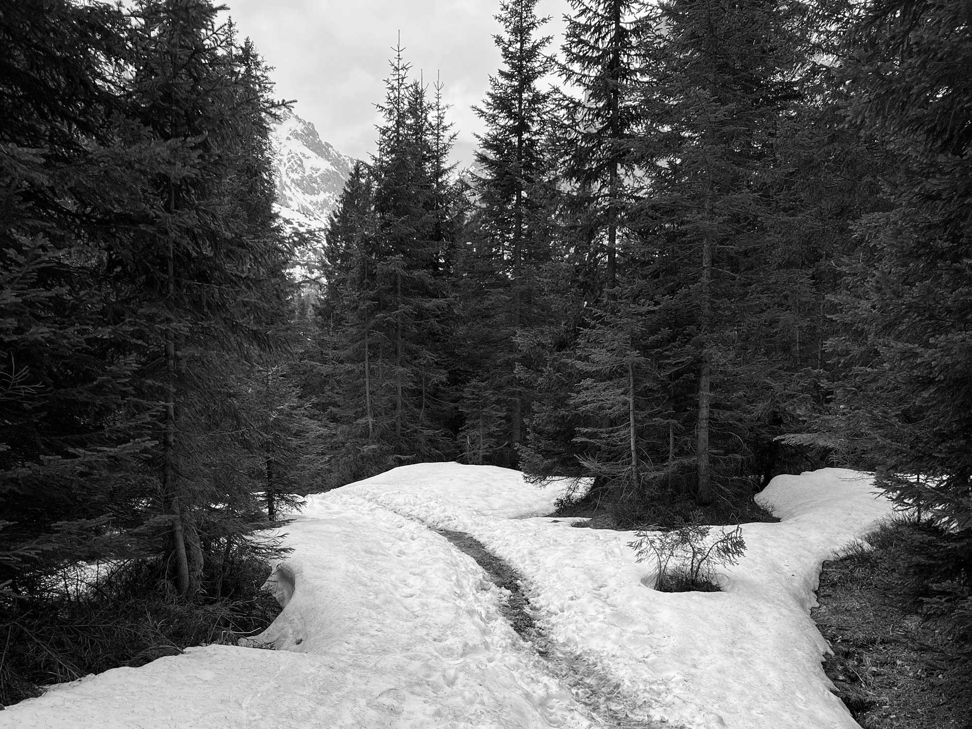 Wandelen Donker Sneeuw