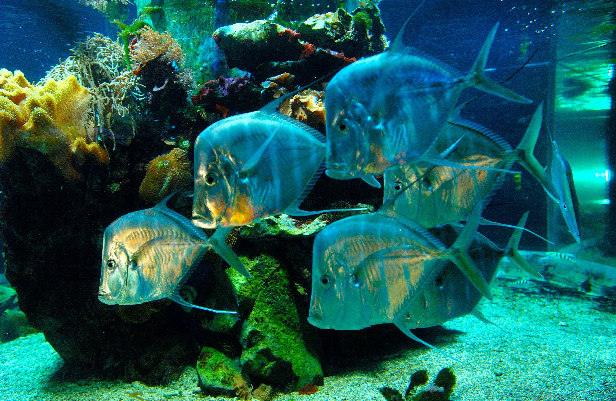 Haus der Natur (Salzburg) Museum für Natur & Technik