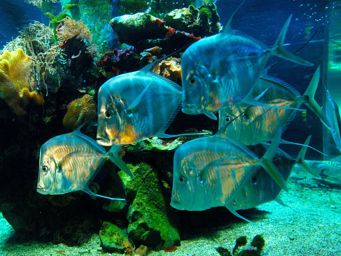 Haus der Natur (Salzburg) Museum für Natur & Technik