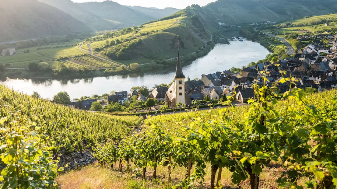 Mosel 2 Mosel 2