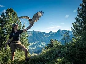 Dit zijn de leukste dingen om te doen tijdens een zomervakantie in het Zillertal Dit zijn de leukste dingen om te doen tijdens een zomervakantie in het Zillertal