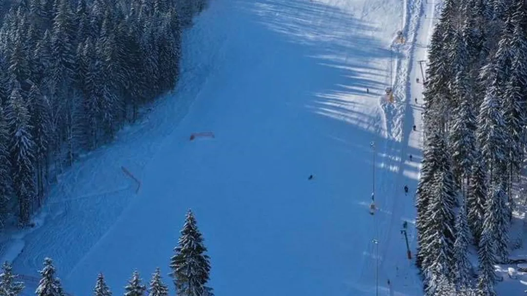 Bild - Skizentrum Mitterdorf 