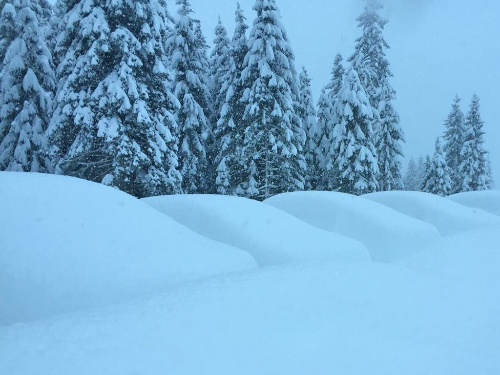 50324 - Alpenweer: méér dan 1 meter verse sneeuw op komst! (2)