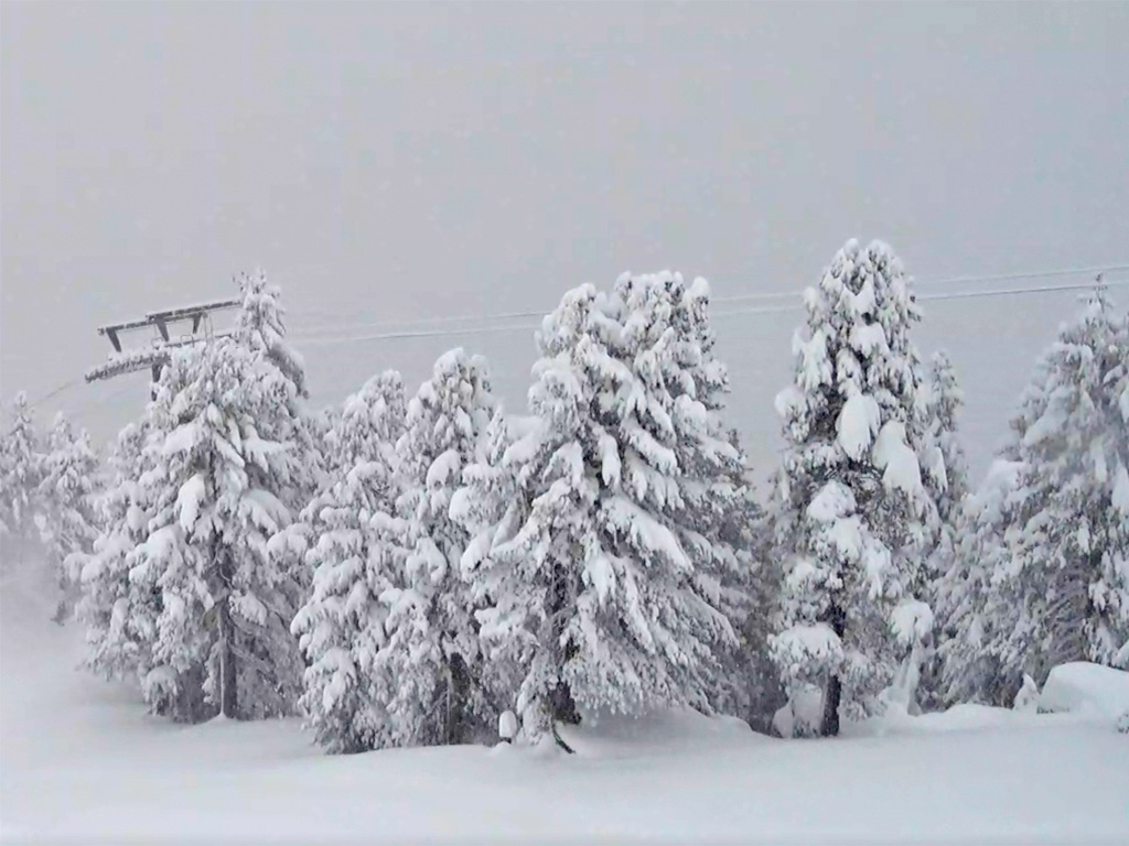 51275 - Alpenweer: sneeuwdump na sneeuwdump (+100 cm!) (3)