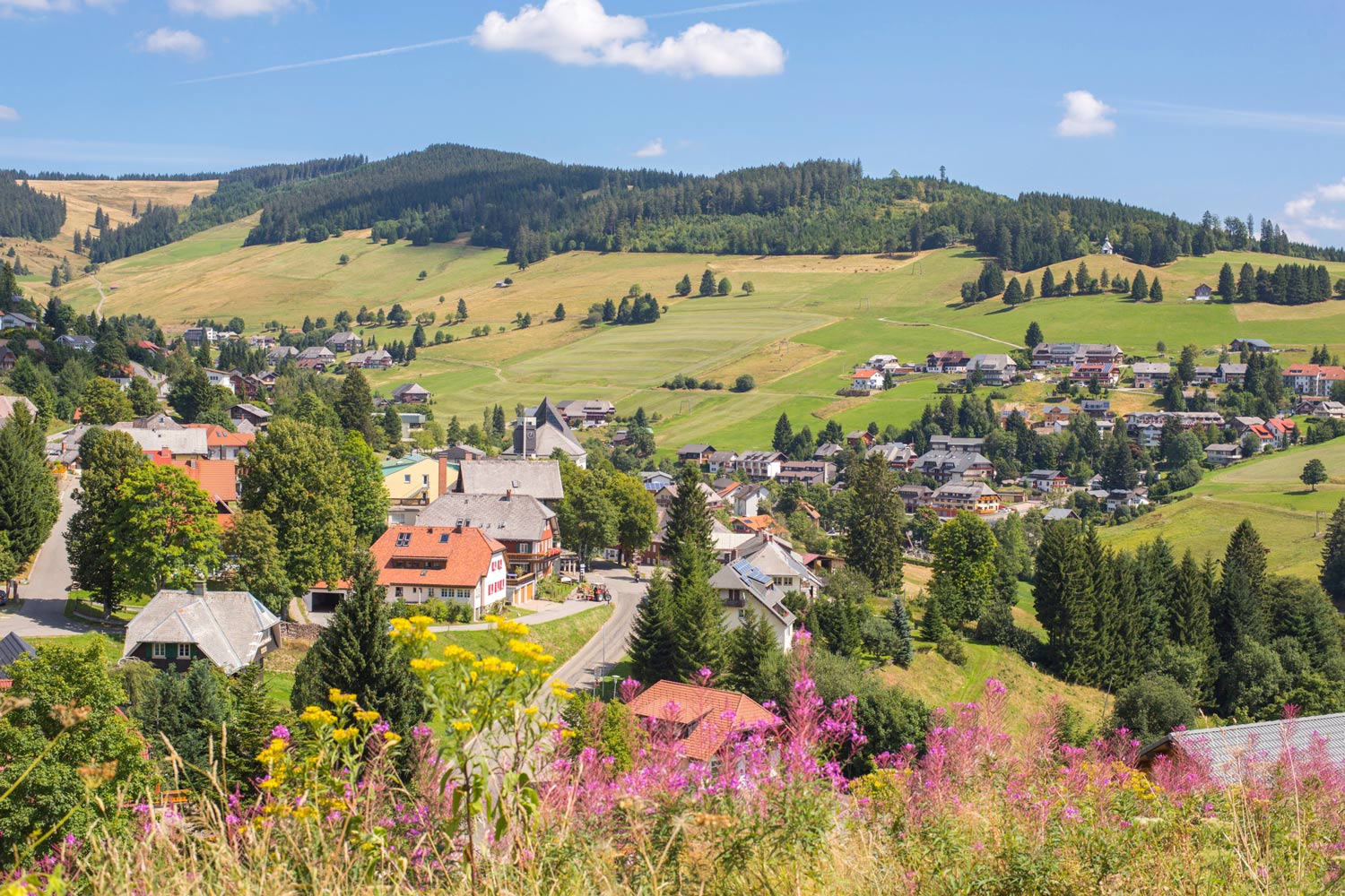 Vakantie Todtnauberg (Duitsland)