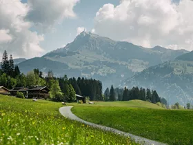 Kitzbüheler Horn Kitzbüheler Horn