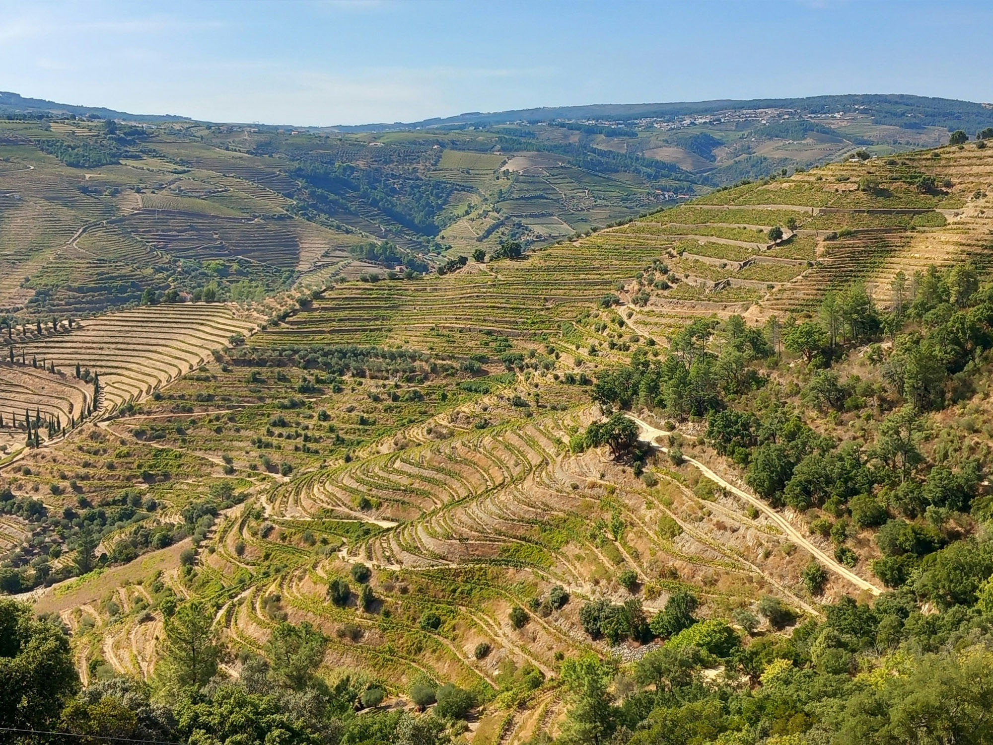 Alto Douro