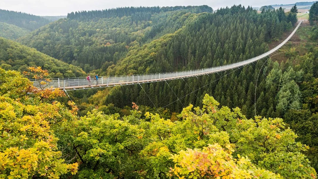Die Hängeseilbrücke Geierlay Im Hunsrück Die Hängeseilbrücke Geierlay Im Hunsrück